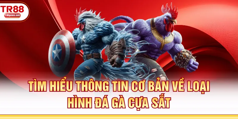 Tìm hiểu thông tin cơ bản về loại hình đá gà cựa sắt